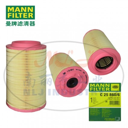 MANN-FILTER(曼牌濾清器)空濾C25860/6