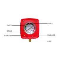 可調試壓力表  控制型壓力開關